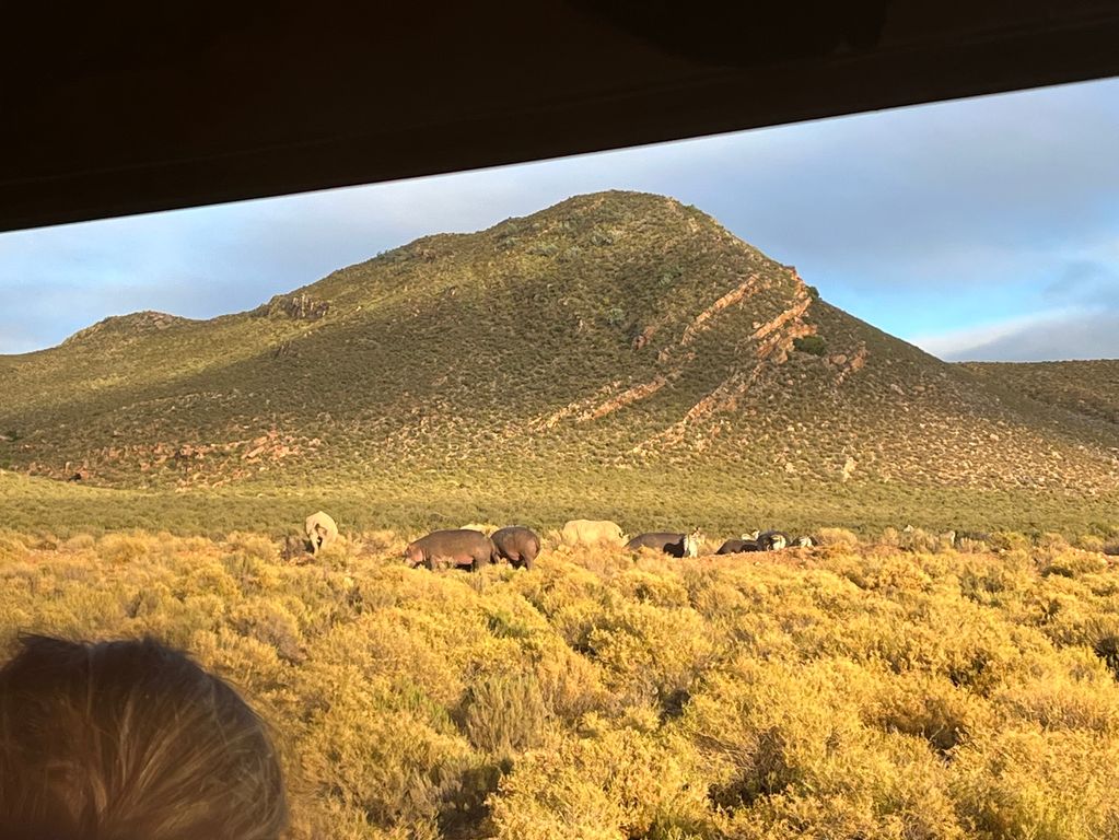 Op safari in Zuid Afrika